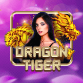 Dragon Tiger 365 casino live game