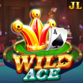 Wild Ace 365 casino slot